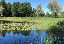 Lake Puhajarv景点图片