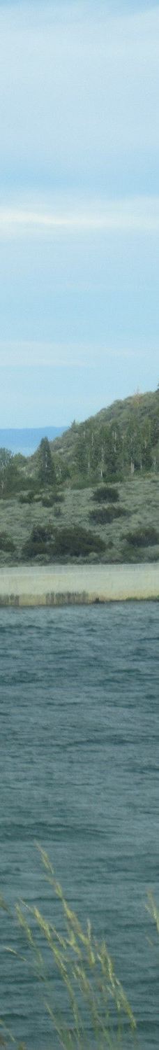 Lundy Lake-莫诺县