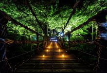 Vine Bridge, Ikedacho景点图片