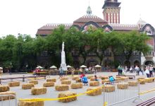 Jovan Nenad Monument景点图片
