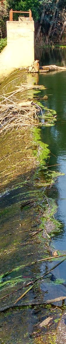 Embalse de Cabezas Rubias-圣巴尔瓦拉德卡萨