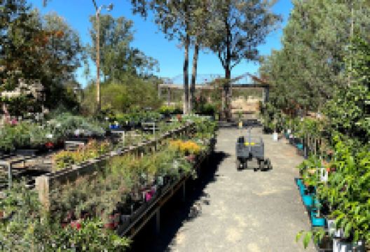Moorelands Bush Nursery景点图片