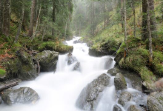 Trou à l'Ours景点图片