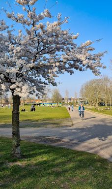 Park De Wezenlanden-兹沃勒