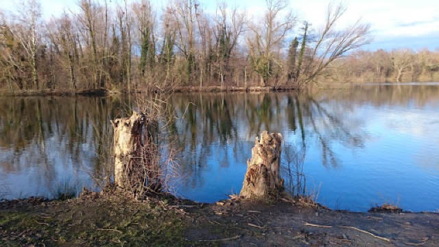 VfR 1926 Sondernheim