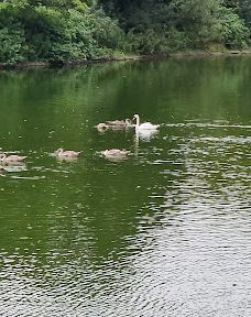 维多利亚公园-贝尔法斯特