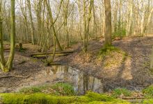 Broxbourne Woods National Nature Reserve景点图片