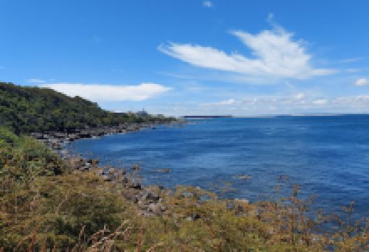 Bluff Hill Scenic Reserve景点图片