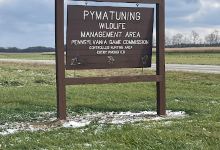 Pymatuning Wildlife Management Area景点图片