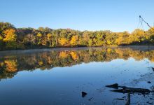 Sauk Trail Woods-Central景点图片