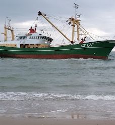 Fallen Bunker-勒肯