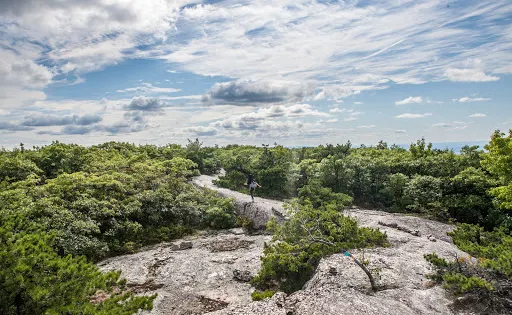 Schunnemunk State Park