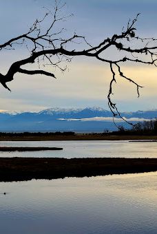 Witty's Lagoon Regional Park-首府地区
