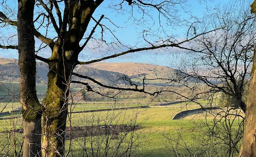 Grass Wood Nature Reserve