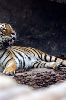 ViaSea水族馆-伊斯坦布尔