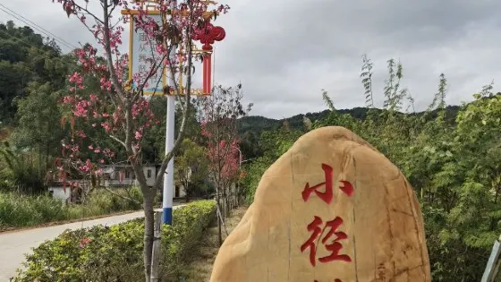 觀音望海