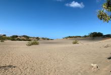 Dunes of Baní景点图片