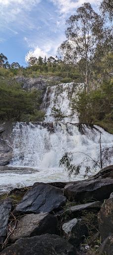 Maroondah Reservoir Park-希尔斯维尔