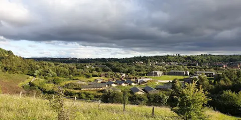 Denaby Ings Nature Reserve