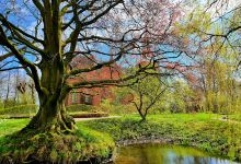 Botanische tuin Domies Toen景点图片