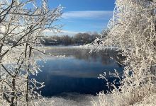 Webster Park景点图片