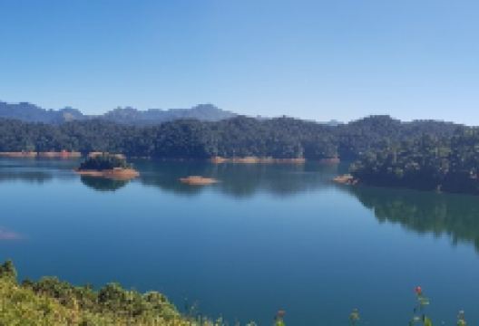 Periyar National Park景点图片