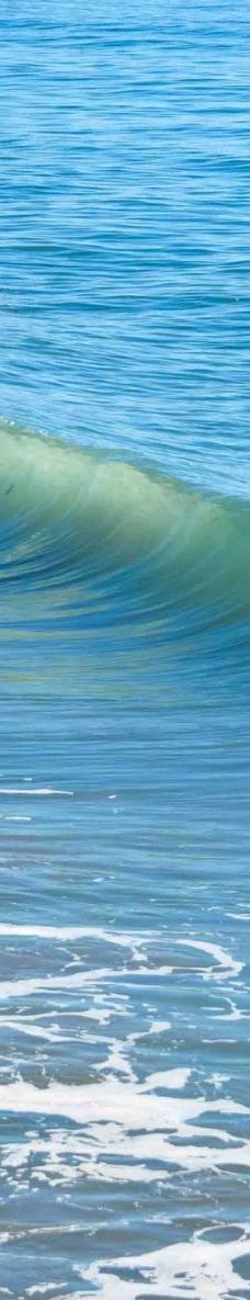 Seacliff State Beach-阿普托斯