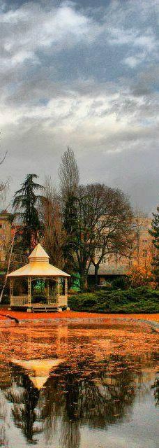 Danube Park-诺维萨德