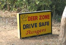 Balukhand - Konark Wildlife Sanctuary景点图片