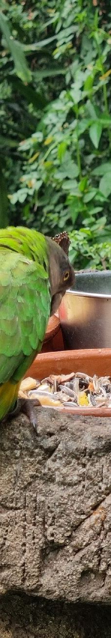 Butterfly Park Empuriabrava-Alt Emporda