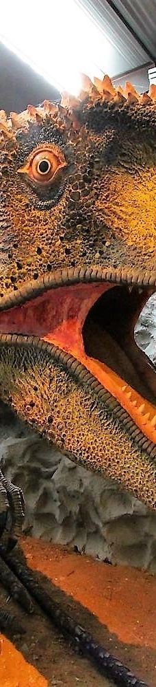 Musee des Dinosaures 'Dinosauria'-埃斯佩拉扎