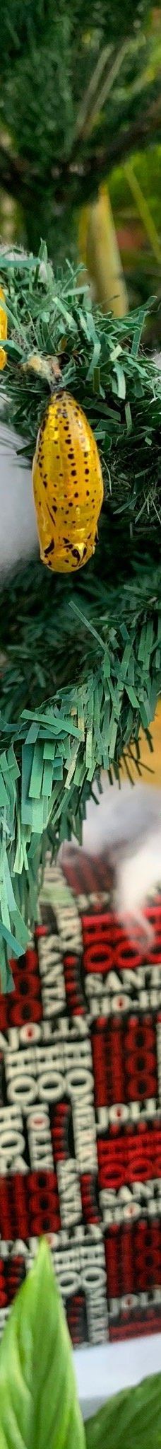 琉宫城蝴蝶园-本部町