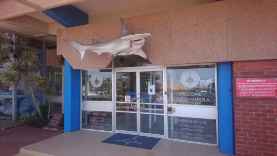 Natal Shark Board
