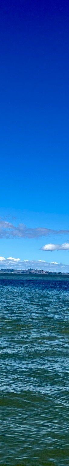 内河码头-旧金山