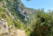 尼采小径景点图片