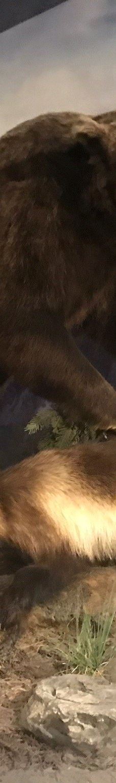 Museum of the Plains Indian-科迪