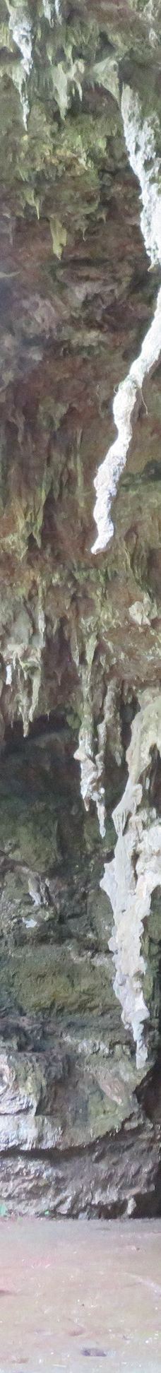 Grotte de Hortense-松树岛