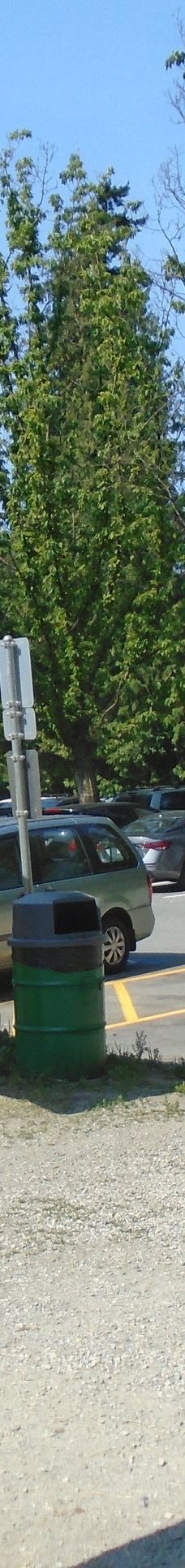 中央公园-本那比