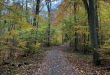 Boserup Skov景点图片