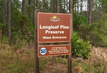 Longleaf Pine Preserve景点图片