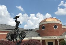 The Pearce Museum at Navarro College景点图片