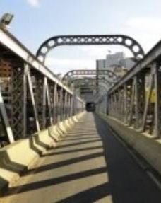 Ponte de Ferro Governador Bley-伊塔佩米林河畔卡舒埃鲁