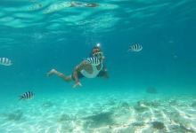 Kisite-Mpunguti Marine National Park and Reserve景点图片