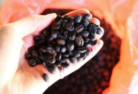 Chon y Maria Organic Farm景点图片