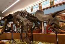 Barnes County Historical Society Museum景点图片