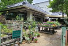 北山綠化植物園景点图片