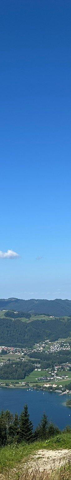 Grünbergseilbahn Gmunden-格蒙登