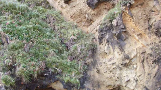 Cavernas y cueva del toro