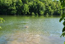 Peters Lake Park景点图片