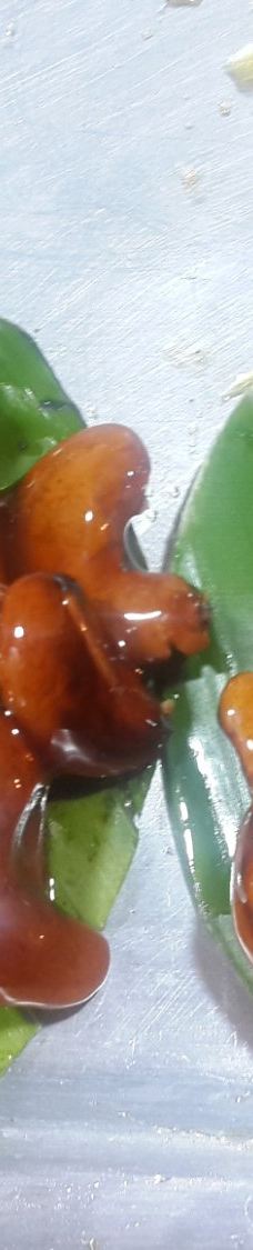 Chan Chala Night Market-董里